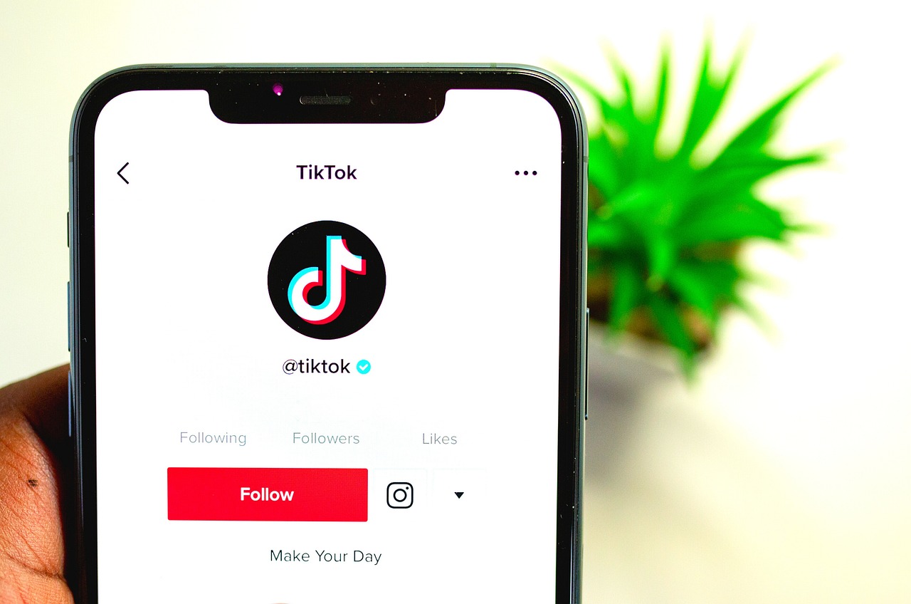 tiktok-on-iphone